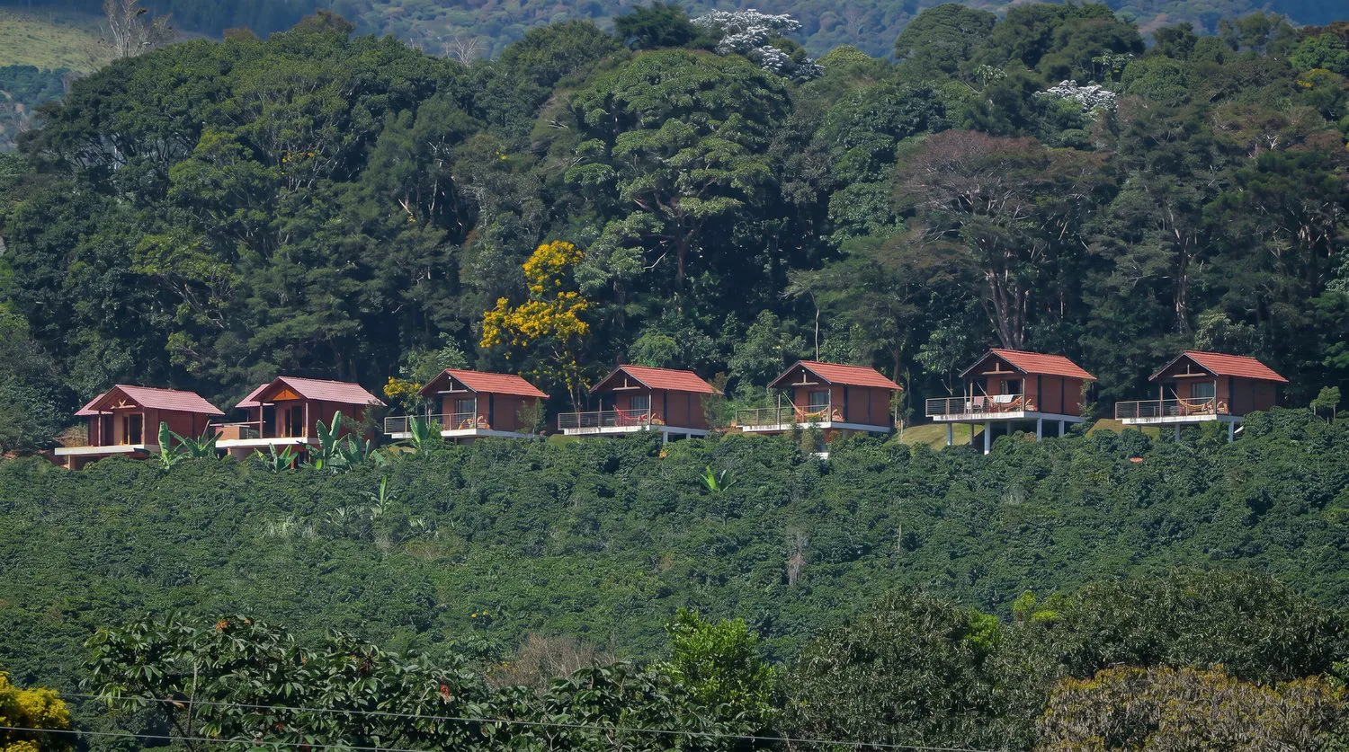 Foto original real dos chalés na encosta, em luz de dia